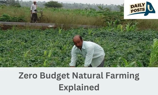 Zero Budget Natural Farming Explained